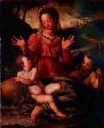 Andrea del Sarto Madonna and Child with St oil